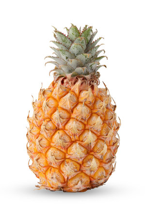 Close up single whole baby pineapple isolated on white background