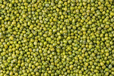 Close up Mung beans or Vigna radiata seeds top view backgroundの写真素材