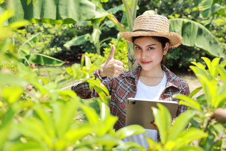 Asian agronomist or woman farmer show thumb up and reading report growing crops data from tablet for increasing productivity in agriculture field, modern smart farming with technology conceptの写真素材