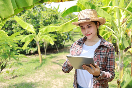 Asian agronomist or woman farmer reading report and inspecting growing crops data from tablet for increasing productivity in agriculture field, modern smart farming with technology conceptの写真素材