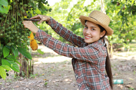 Happy and beautiful asian agronomist or woman farmer takes care of agriculture field, prunes with scissors modern smart farming with technology conceptの写真素材