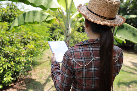 Asian agronomist or woman farmer reading report and inspecting growing crops data from tablet for increasing productivity in agriculture field, modern smart farming with technology conceptの写真素材