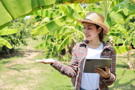 Asian agronomist or woman farmer show something and reading report growing crops data from tablet for increasing productivity in agriculture field, modern smart farming with technology conceptの写真素材