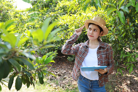 Asian agronomist or woman farmer reading report and inspecting growing crops data from clipboard for increasing productivity in agriculture field, modern smart farming with technology conceptの写真素材