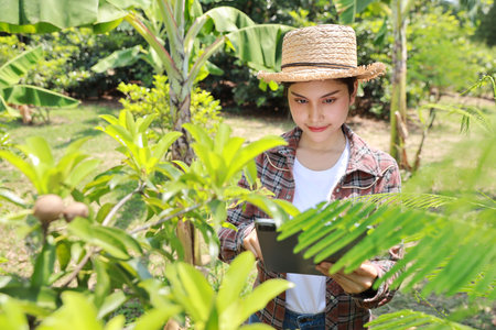 Asian agronomist or woman farmer reading report and inspecting growing crops data from tablet for increasing productivity in agriculture field, modern smart farming with technology conceptの写真素材