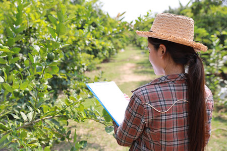 Asian agronomist or woman farmer reading report and inspecting growing crops data from clipboard for increasing productivity in agriculture field, modern smart farming with technology conceptの写真素材