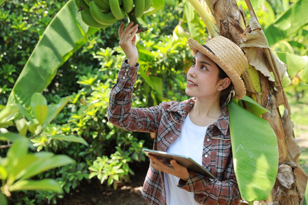 Asian agronomist or woman farmer reading report and inspecting growing crops data from tablet for increasing productivity in agriculture field, modern smart farming with technology conceptの写真素材