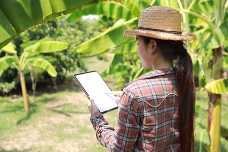 Asian agronomist or woman farmer reading report and inspecting growing crops data from tablet for increasing productivity in agriculture field, modern smart farming with technology conceptの写真素材