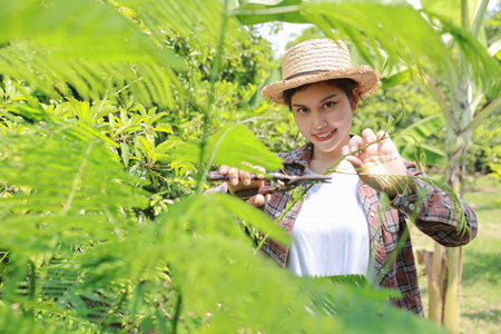 Happy and beautiful asian agronomist or woman farmer takes care of agriculture field, prunes with scissors modern smart farming with technology conceptの写真素材