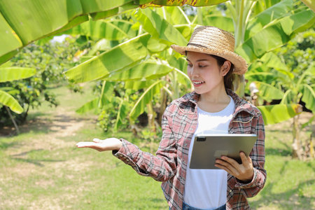 Asian agronomist or woman farmer show something and reading report growing crops data from tablet for increasing productivity in agriculture field, modern smart farming with technology conceptの写真素材