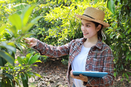Asian agronomist or woman farmer reading report and inspecting growing crops data from clipboard for increasing productivity in agriculture field, modern smart farming with technology conceptの写真素材