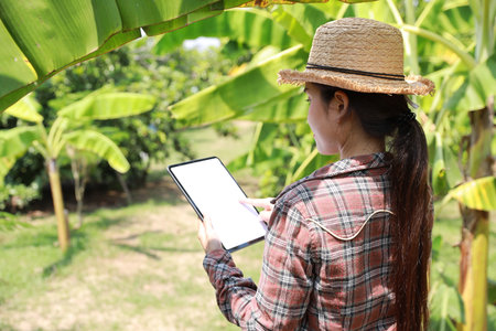 Asian agronomist or woman farmer reading report and inspecting growing crops data from tablet for increasing productivity in agriculture field, modern smart farming with technology conceptの写真素材