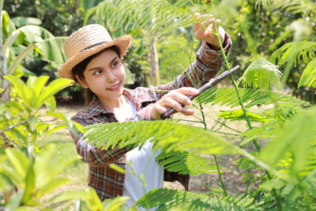 Happy and beautiful asian agronomist or woman farmer takes care of agriculture field, prunes with scissors modern smart farming with technology conceptの写真素材