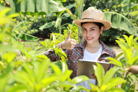 Asian agronomist or woman farmer showing thumb up while reading report and inspecting growing crops data from tablet for increasing productivity in agriculture field, farming with technology conceptの写真素材