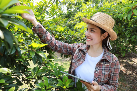Asian agronomist or woman farmer reading report and inspecting growing crops data from tablet for increasing productivity in agriculture field, modern smart farming with technology conceptの写真素材