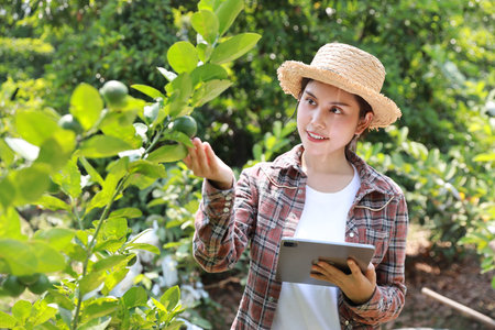 Asian agronomist or woman farmer reading report and inspecting growing crops data from tablet for increasing productivity in agriculture field, modern smart farming with technology conceptの写真素材