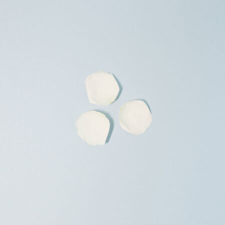 white flower petal on skyblue backgroundの写真素材
