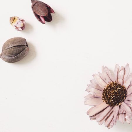 purple color dry flower isolated on white backgroundの写真素材