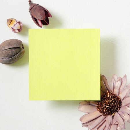 Reminder sticky notes with flower on white backgroundの写真素材