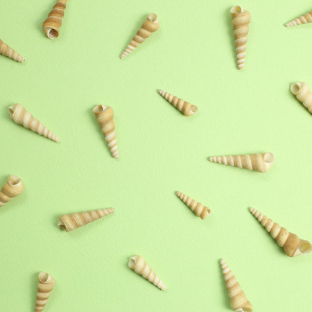 Marine decoration conch seashells on green background