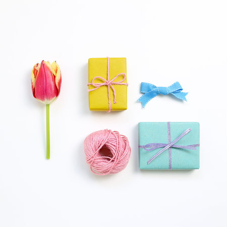 Gift box and red tulip flower isolated on white background. Flat lay, top view