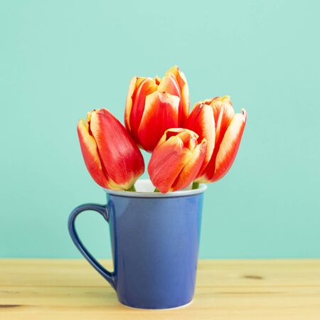 Red tulip flowers on wooden table with mint green background. Spring floral arrangementの写真素材