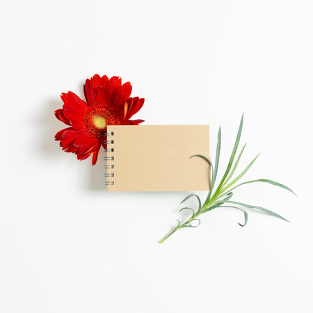 Empty notebook with red gerbera flower on white background.の写真素材