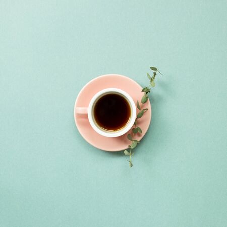 A cup of coffee with eucalyptus leaf on green background. top view, copy spaceの写真素材