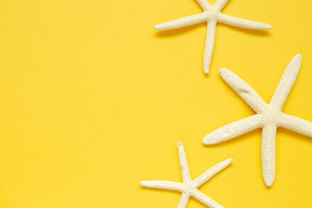 White starfish isolated on yellow background. Summer marine decoration. flat lay, top view, copy spaceの写真素材