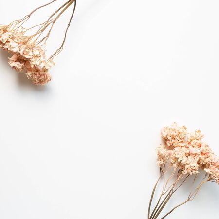 Dried pink hydrangea flowers on white background. Floral composition, flat lay, top viewの写真素材
