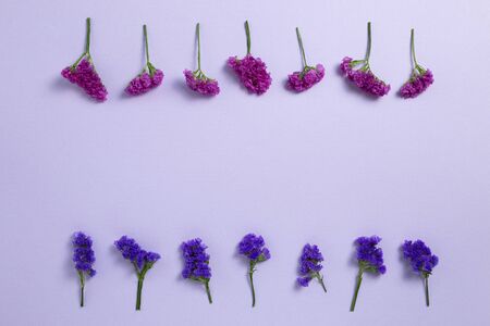 Purple statice flowers on light purple background. Floral composition, flat lay, top view, copy spaceの写真素材