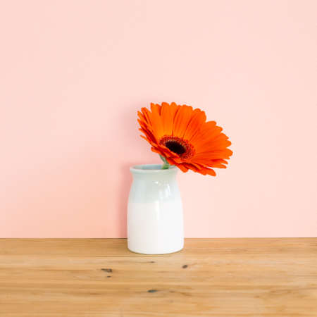 Orange gerbera flower in vase on wooden table with pink background. Floral composition, copy spaceの写真素材