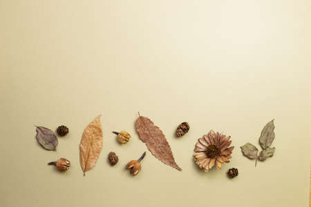 Autumn dry leaves on khaki brown background. flat lay, top view, copy spaceの写真素材