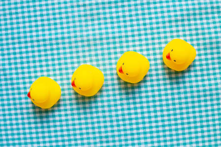 Row of yellow rubber ducks on green check pattern fabric background. Business leadership conceptの写真素材