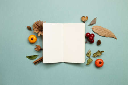 Autumn concept. Empty note paper with dry leaves on green background. flat lay, top view, copy spaceの写真素材