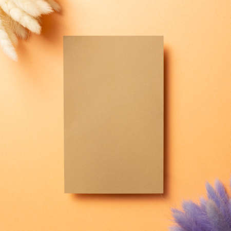 Blank empty paper with colorful hares tail grass (Lagurus ovatus) dry flowers on orange background. top view, copy spaceの写真素材