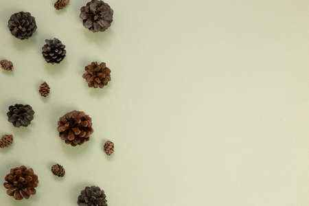 Autumn dry pine cones on khaki green background. flat lay, top view, copy spaceの写真素材