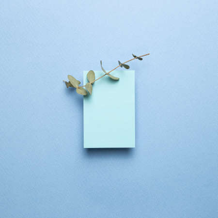 Blue memo pad, blank paper with eucalyptus leaves on blue background. top view, copy spaceの写真素材