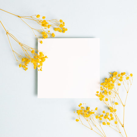 Blank memo paper with yellow baby's breath, gypsophila dry flowers on light blue background. flat...