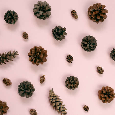 Pine cones pattern background. flat lay, top viewの写真素材