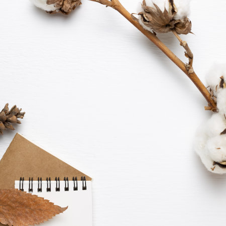 Cotton plant and notebook on white background. top view, copy space. Winter conceptの写真素材