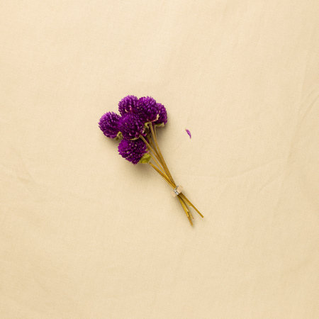 Bunch of purple globe amaranth flowers on beige fabric background. flat lay, top view, copy space