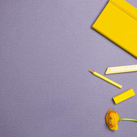 Yellow stationery. Notebook, cutter, colored pencil, flower on purple background. flat lay, top view, copy spaceの写真素材