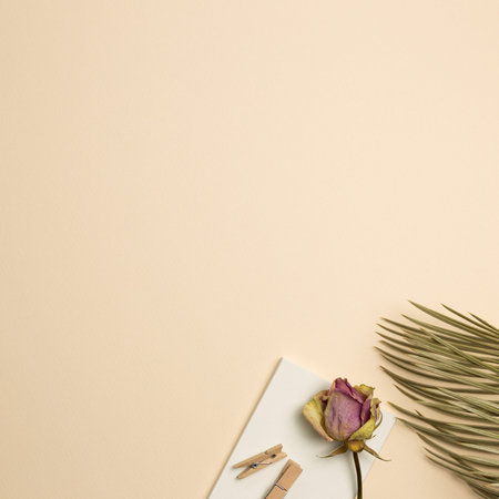 Notebook, wooden clip, dry rose and leaf on beige background. flat lay, top view, copy spaceの写真素材