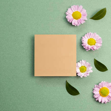 Blank memo pad with pink small flowered chrysanthemum on green background. flat lay, top view, copy spaceの写真素材