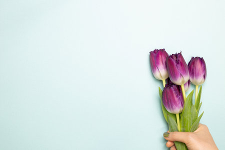 Hand holding purple tulip flowers on sky blue background. flat lay, top view, copy spaceの写真素材