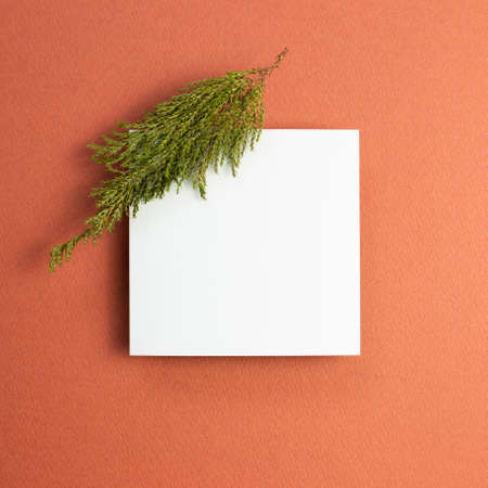 Empty canvas with green leaf on red background. top view, copy spaceの写真素材