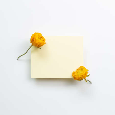 Blank memo pad with dry yellow ranunculus flowers on white background. flat lay, top view, copy spaceの写真素材