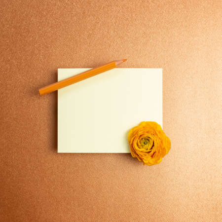 Blank memo pad with dry flower and colored pencil on orange background. top view, copy spaceの写真素材
