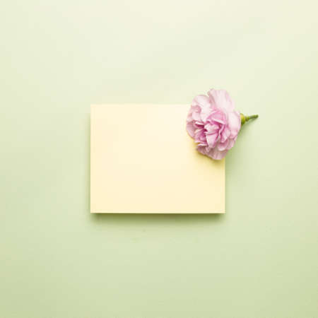 Memo pad with carnation flower on light green background. top view, copy spaceの写真素材